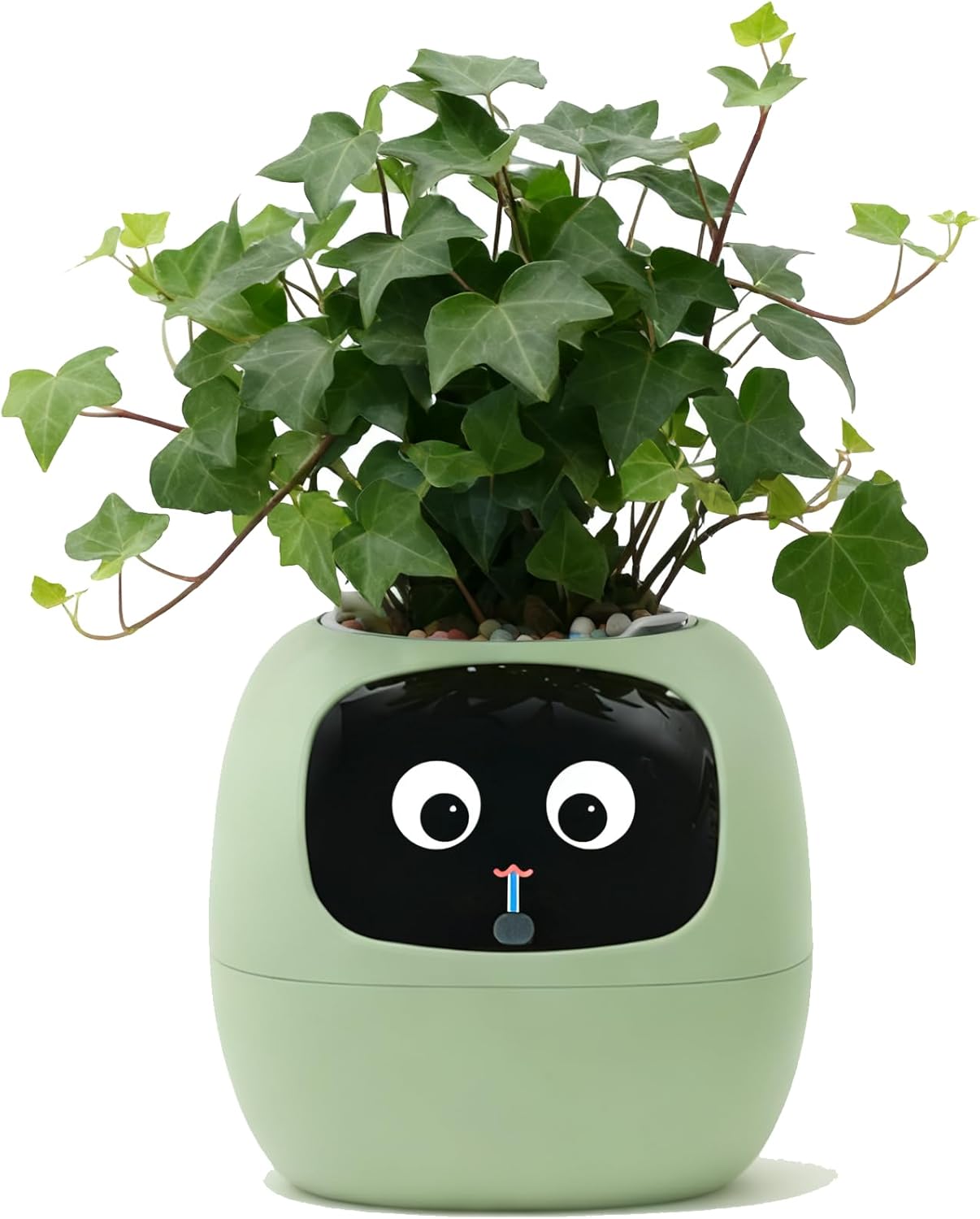 Smart AI Plant Companion